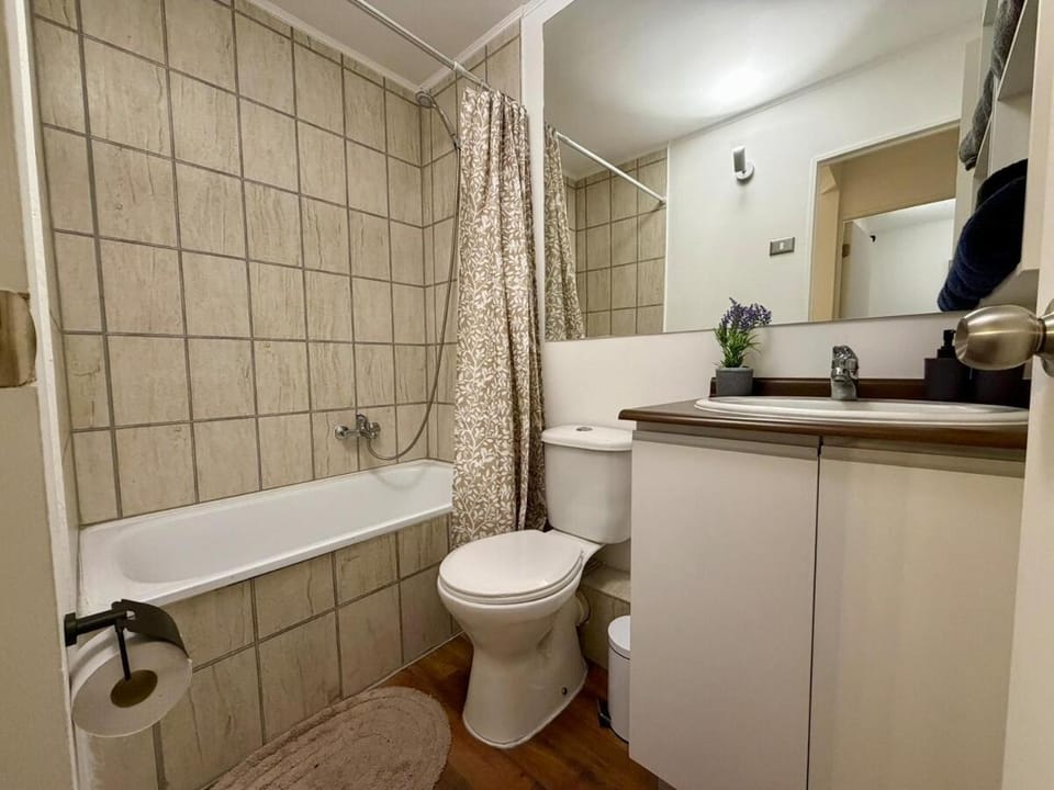 City Centro Villarrica 12 Apartment in Villarrica