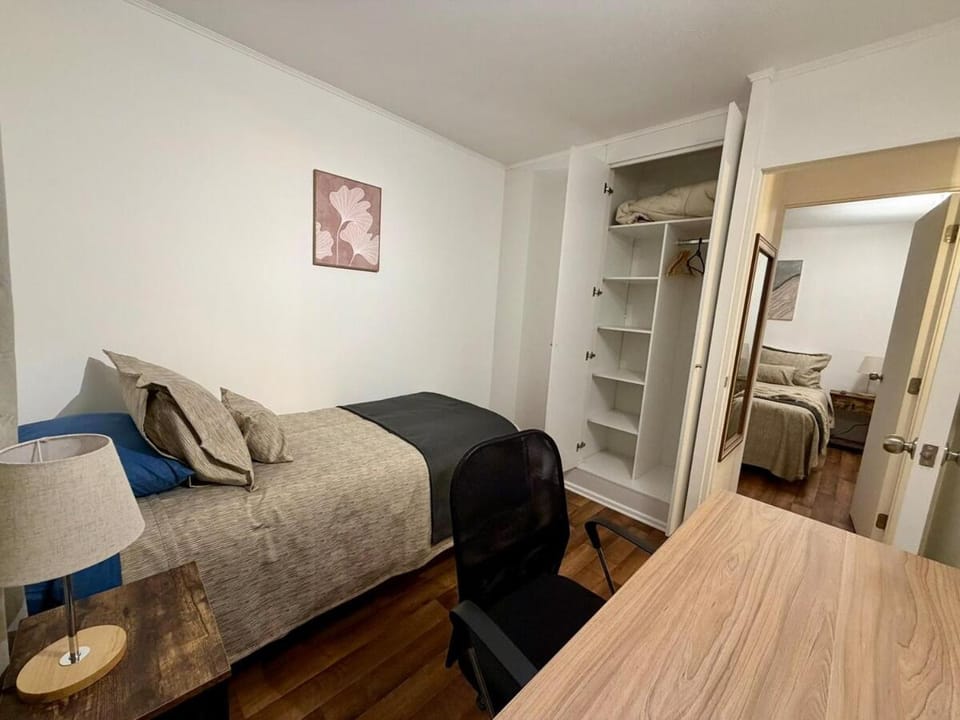 City Centro Villarrica 8 Apartment in Villarrica