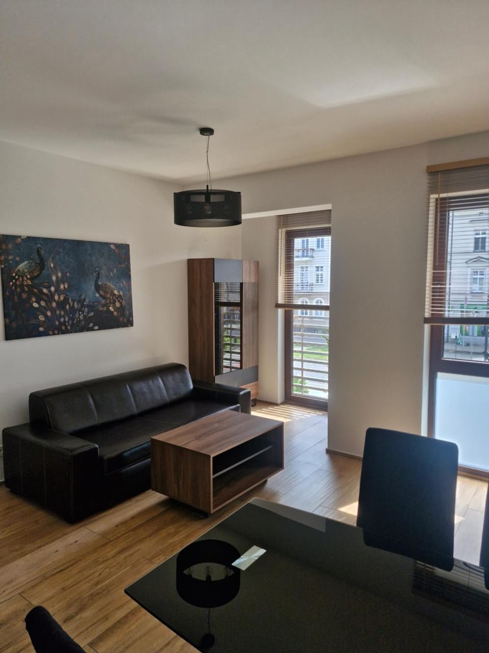 Grunwaldzka 62 Apartment in Greater Poland Voivodeship