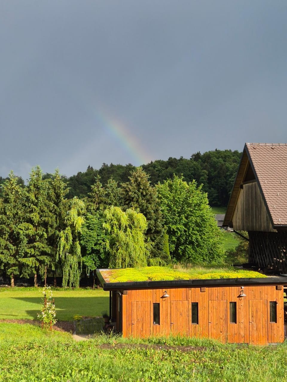 Lake window Luxury tent in Slovenia