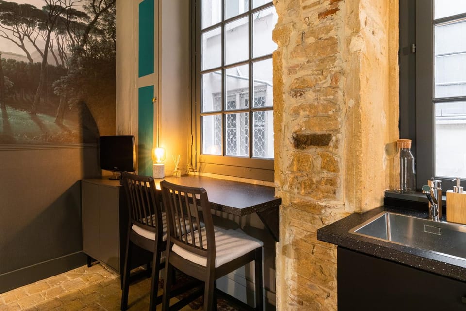 Charming studio in the heart of the 1st arrondissement authenticity and Apartment in Lyon