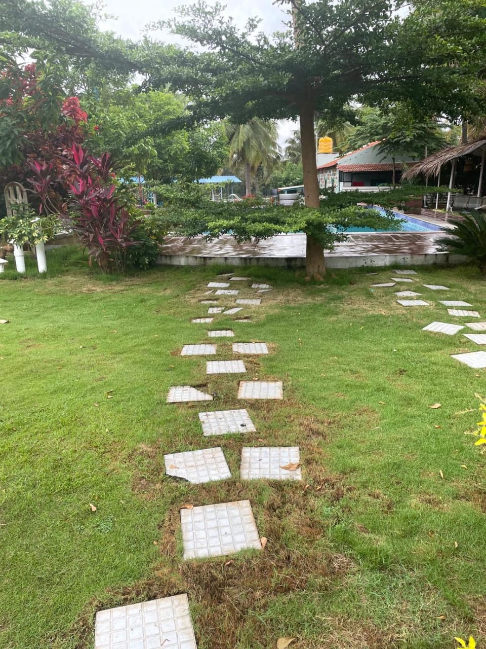 Garden