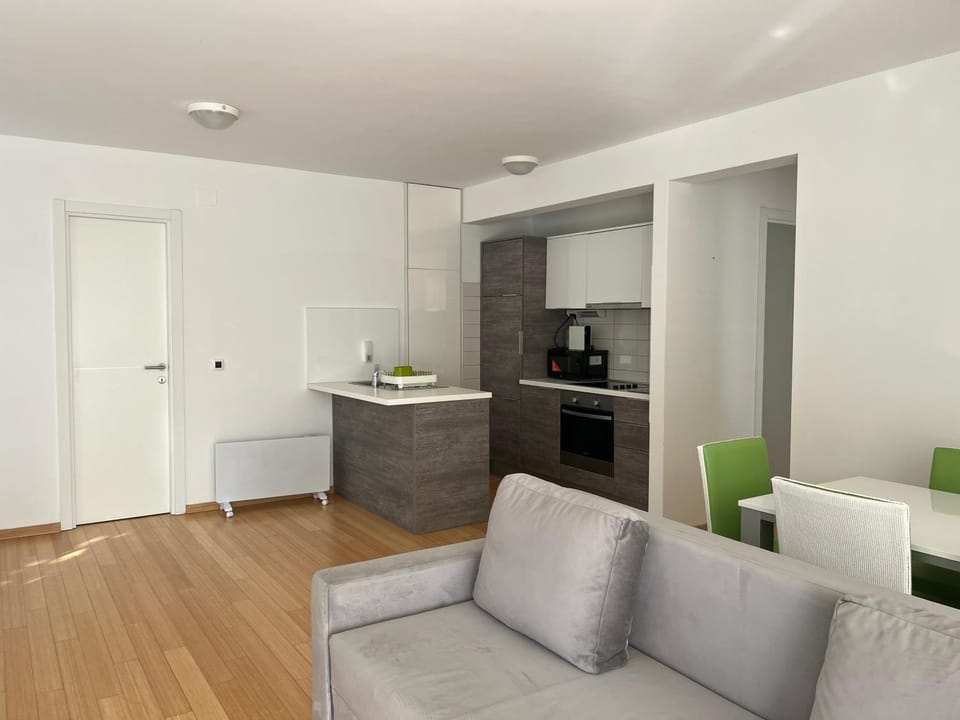 Living room, kitchen