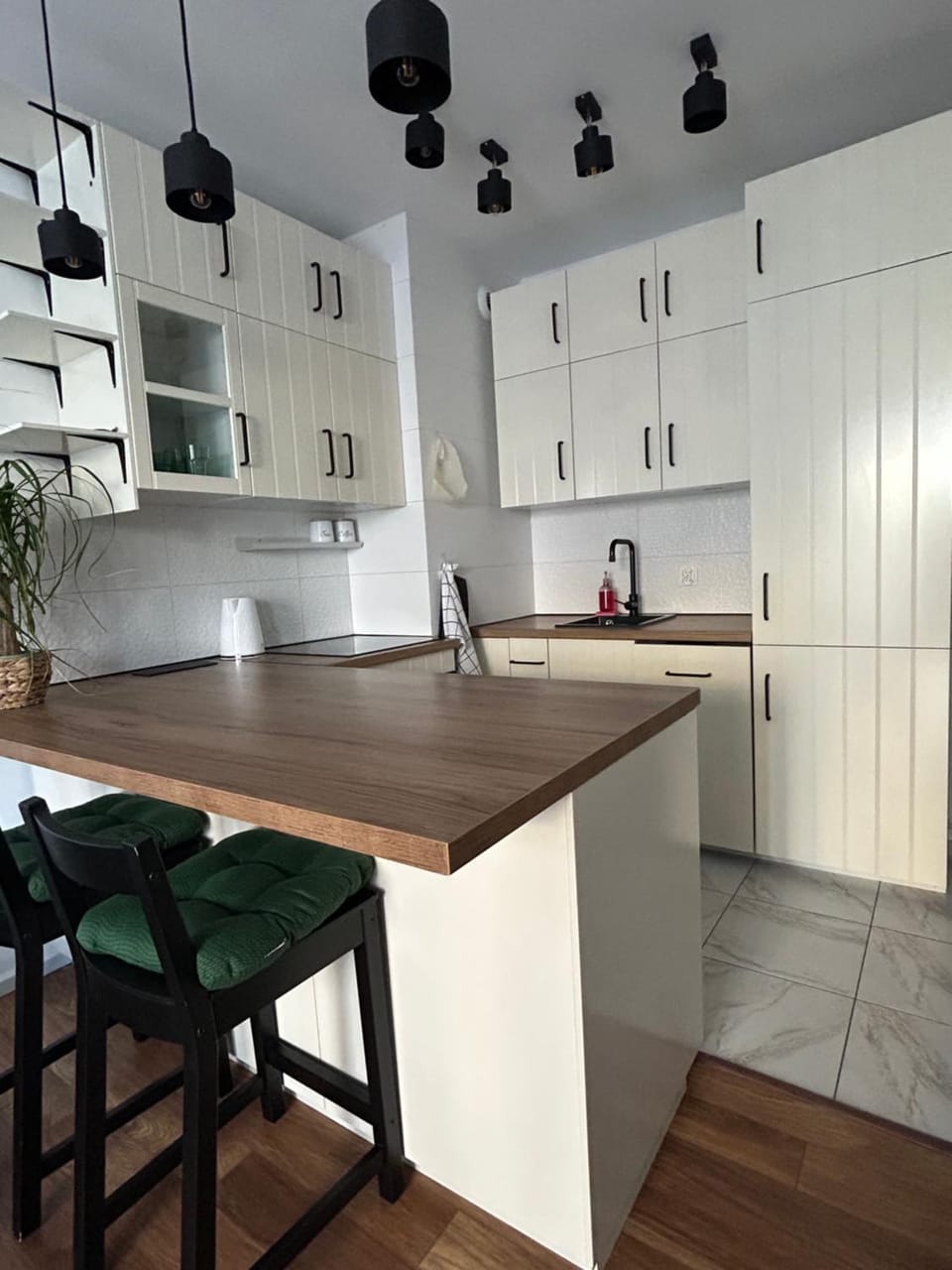 Swan Apartment- zielony taras i prywatny parking w cenie Apartment in Poland