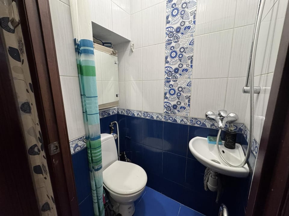 Shower, Toilet