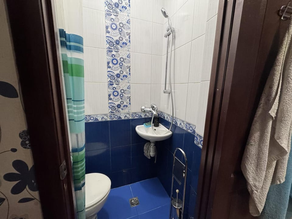 Shower, Toilet