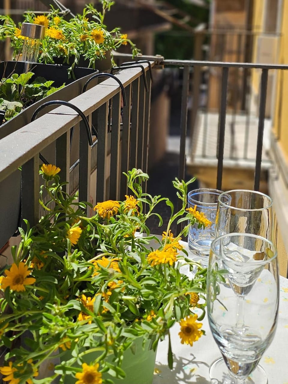Alba holiday house Apartment in Catania