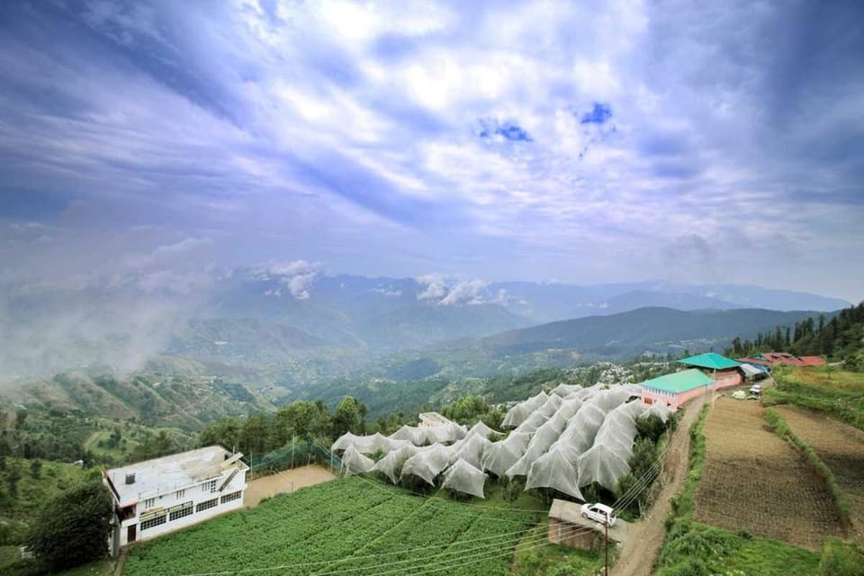 The Suffer Heights l Open Air Lawn l Rooms and Cafe l Kufri by Exotic Stays Hotel in Himachal Pradesh