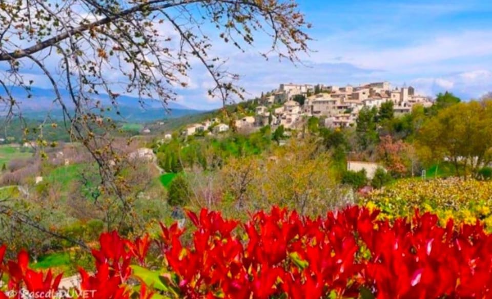 Beautiful studio with a beautiful view Apartment in Provence-Alpes-Côte d'Azur
