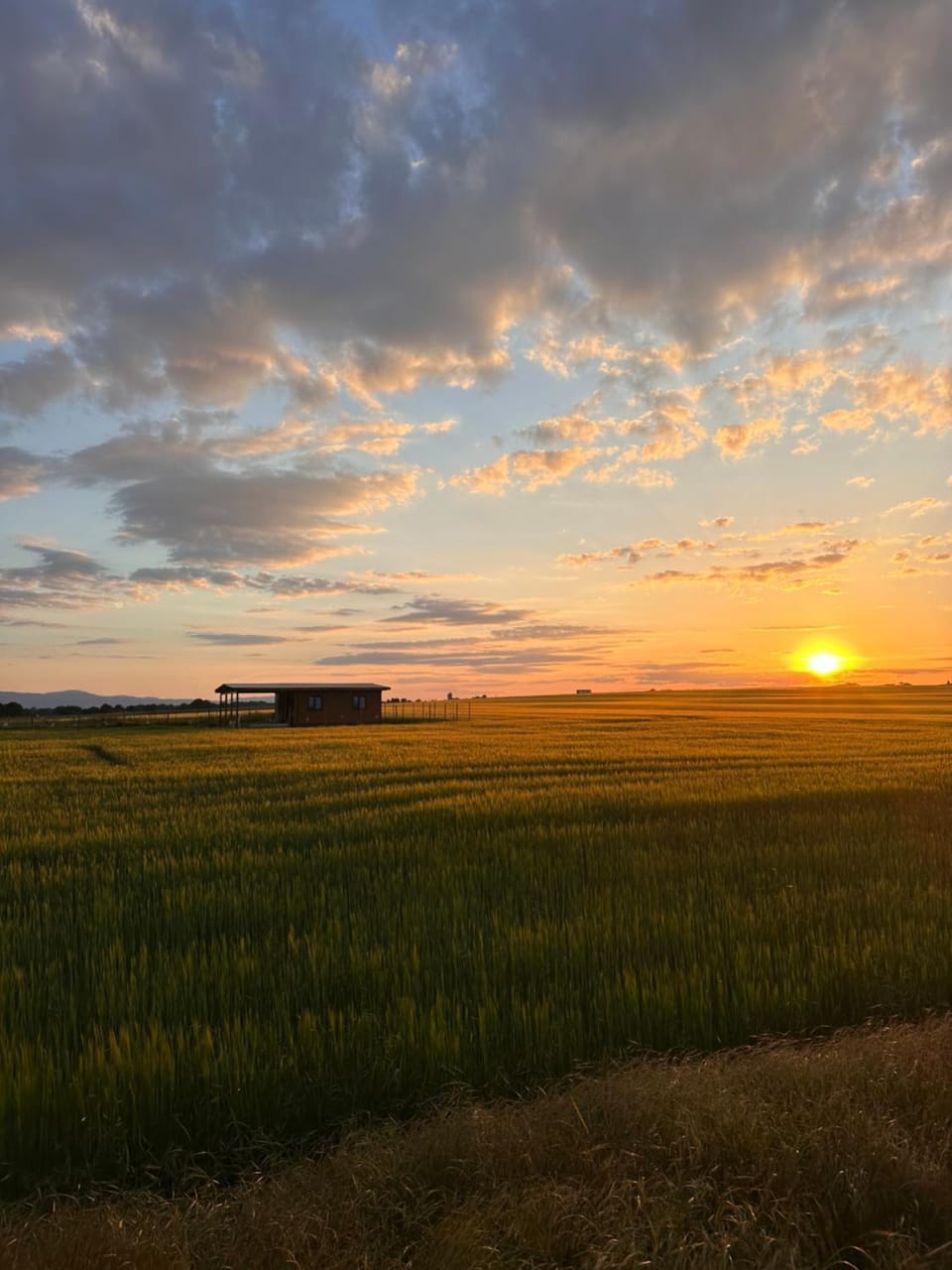 Natural landscape, Sunset