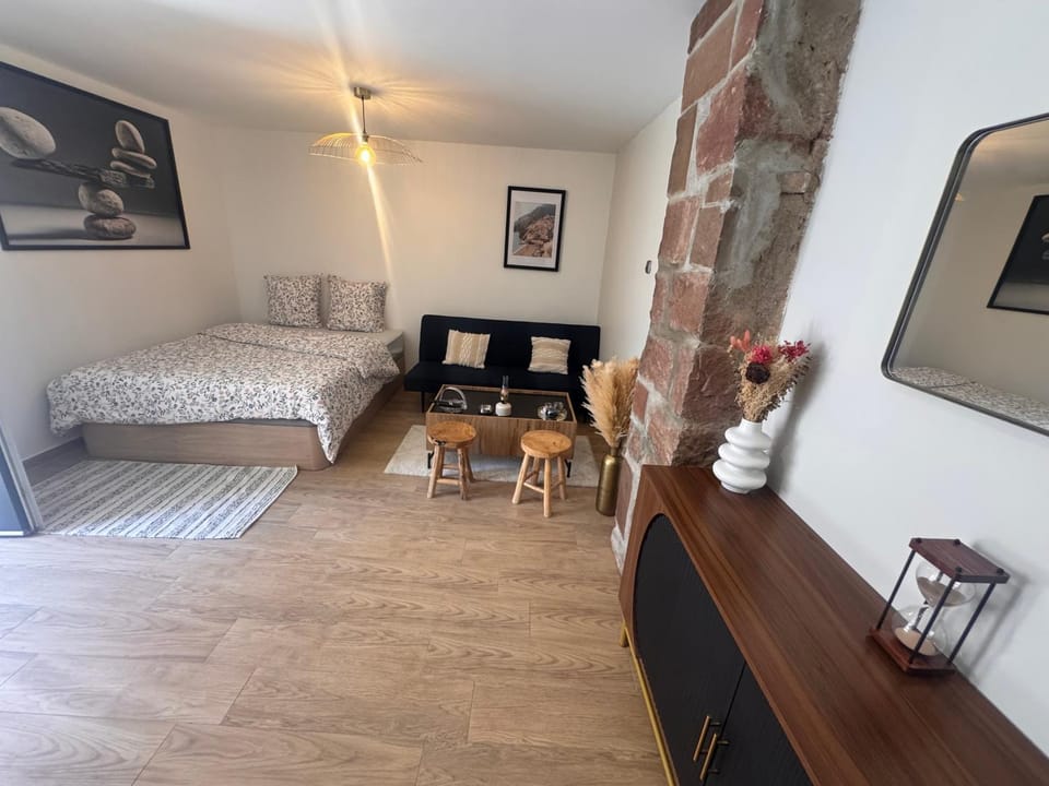 Large studio in Obernai Apartment in Grand Est