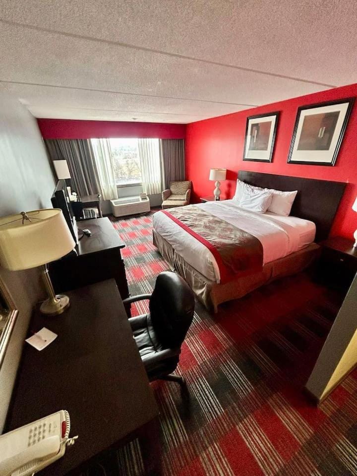 Albany Cozy home with Breakfast Next to Downtown Apartment in Albany