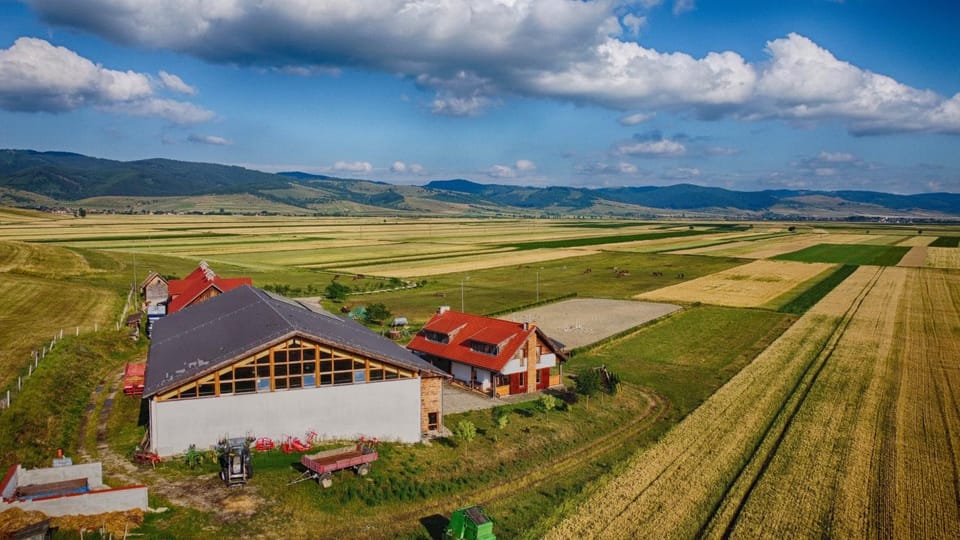 Mongol champing Campground/ 
RV Resort in Romania