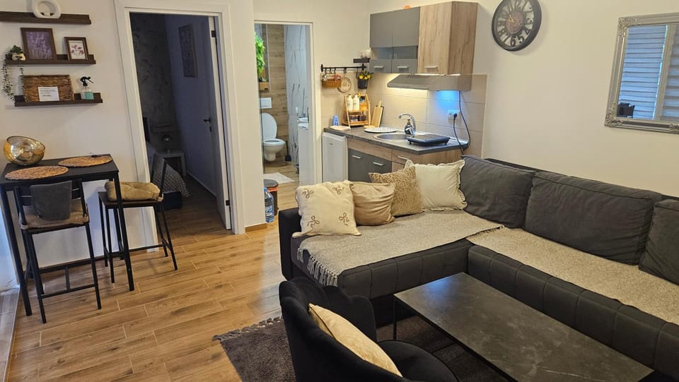 Eli Lux Apartman u zgradi Apartment in Serbia