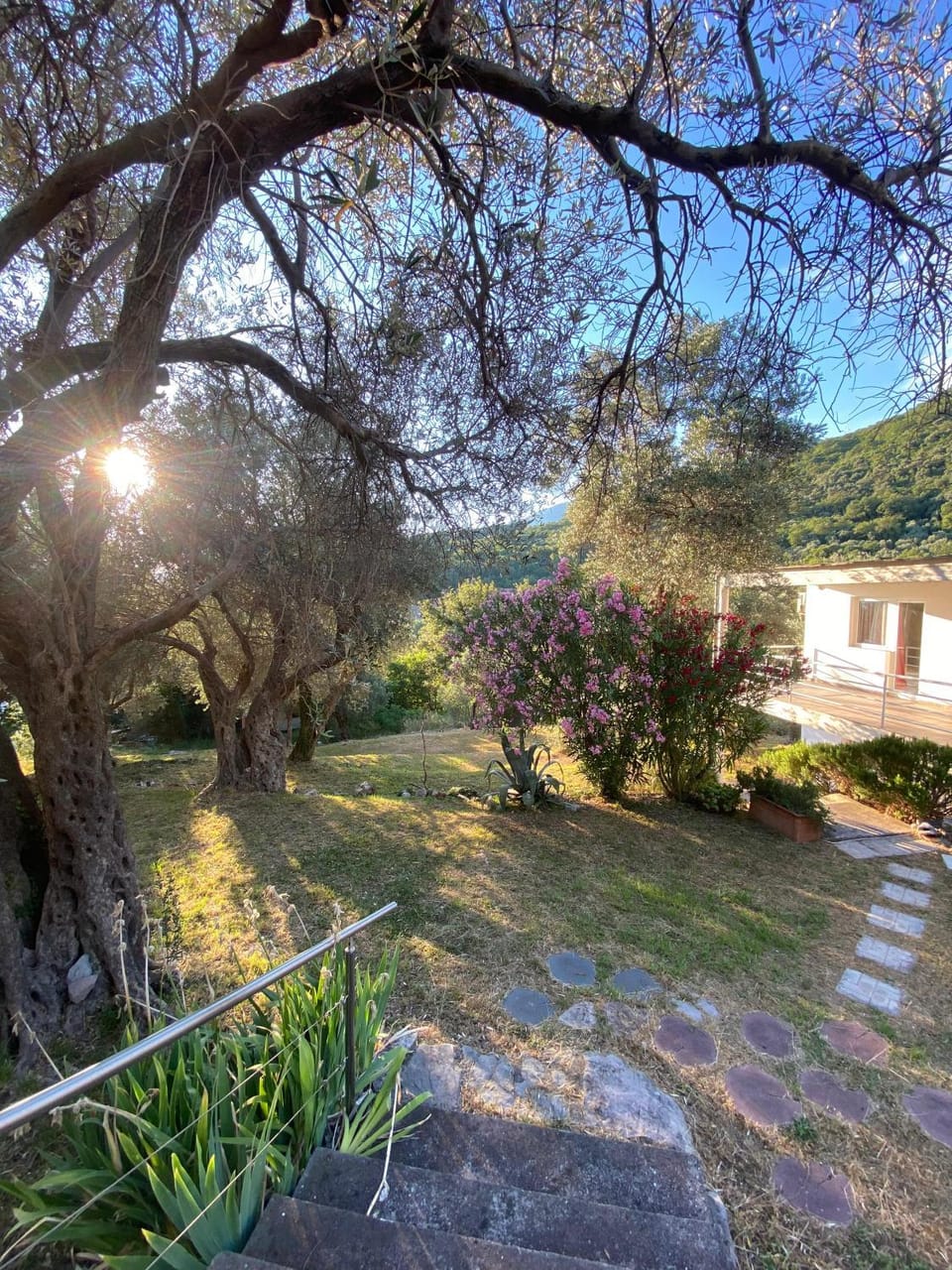 Garden, Garden view