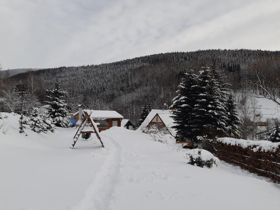 Natural landscape, Winter