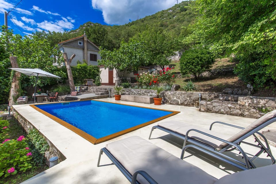 Area and facilities, Swimming pool, Swimming pool