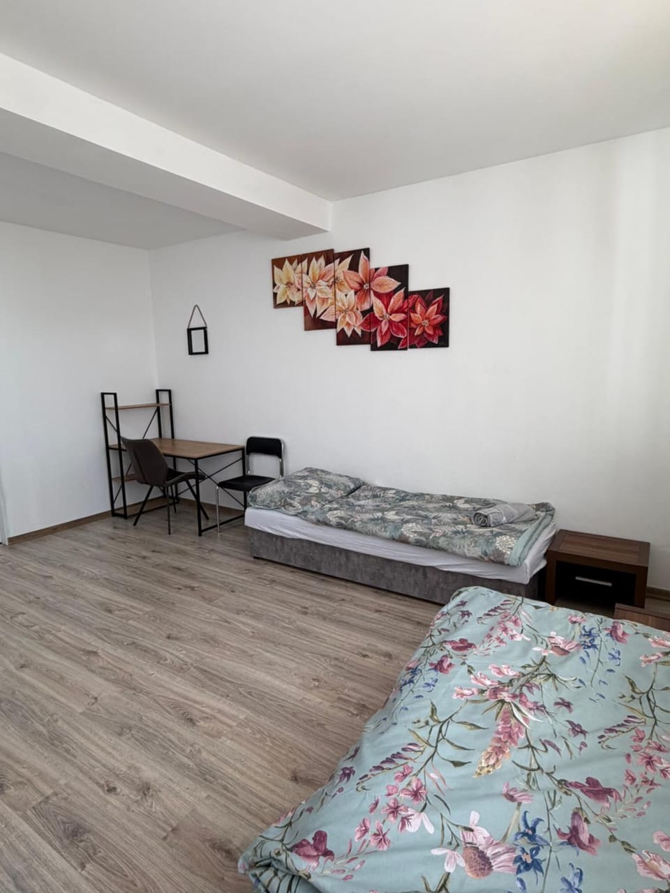 Dvojlôžková izba v centre Sniny s vlastnou kúpeľňou Apartment in Slovakia