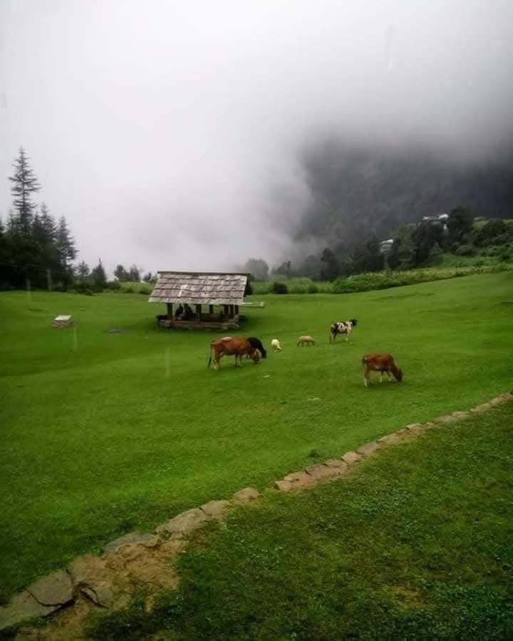 Offline musafir homestay Vacation rental in Himachal Pradesh