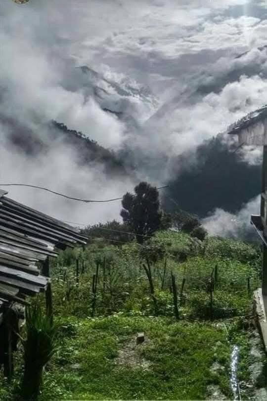Offline musafir homestay Vacation rental in Himachal Pradesh