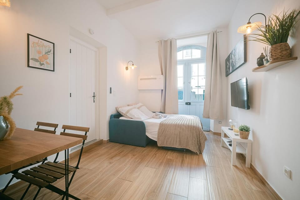 Le Perrissol-5min des plages et du Palais Apartment in Cannes