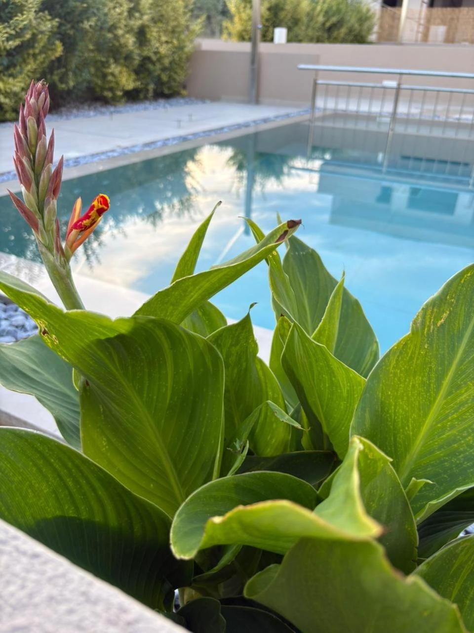 Garden view, Pool view