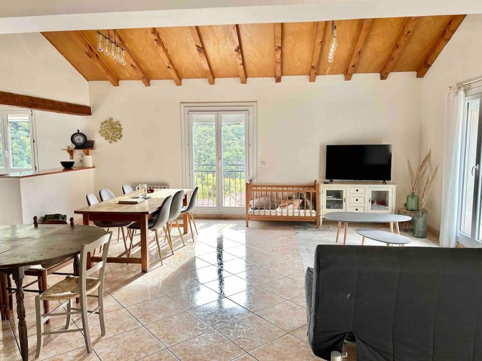 Large Family Chalet Mountain Views House in Occitanie