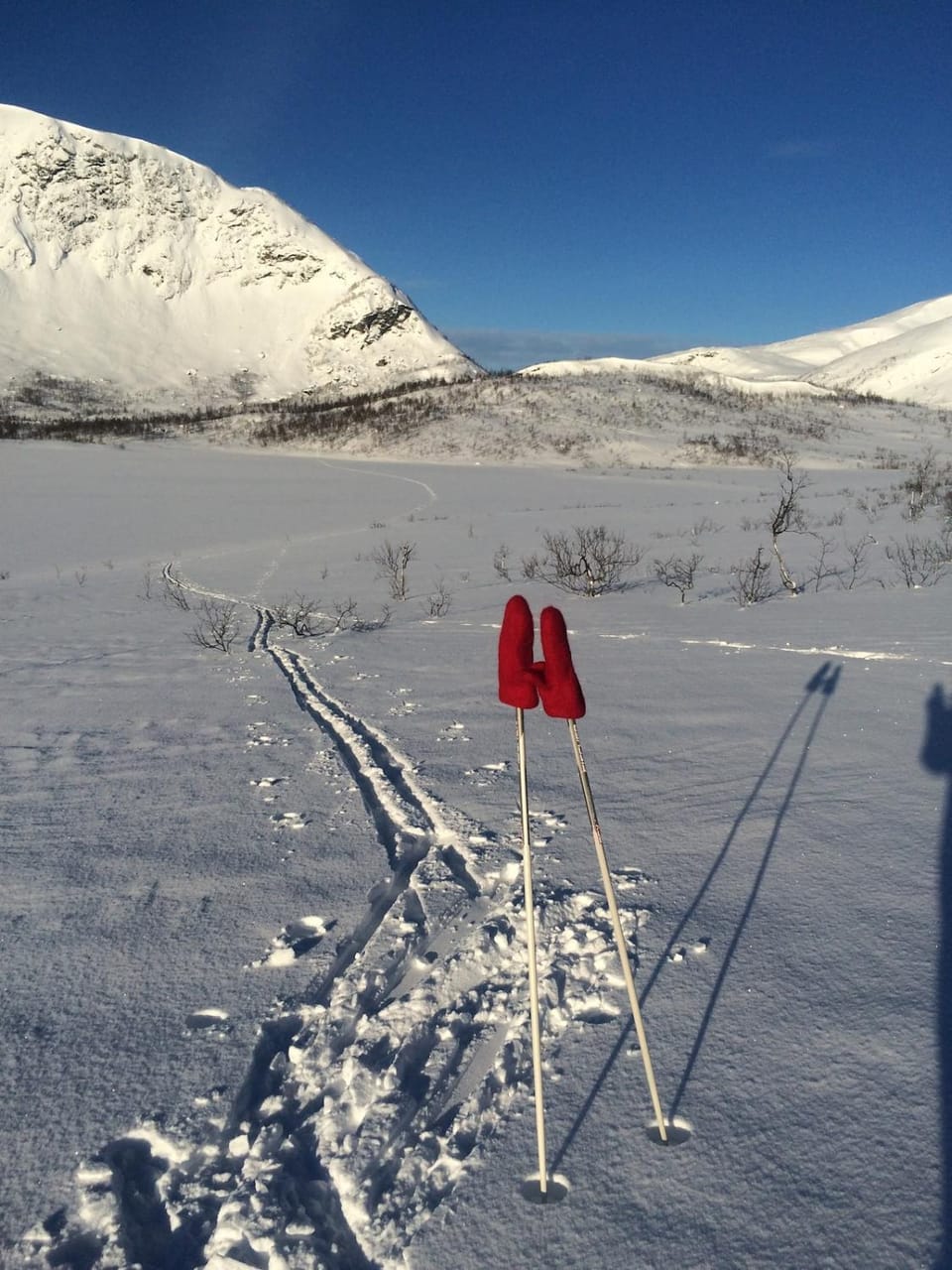 Bergnes Lodge House in Nordland, Norway
