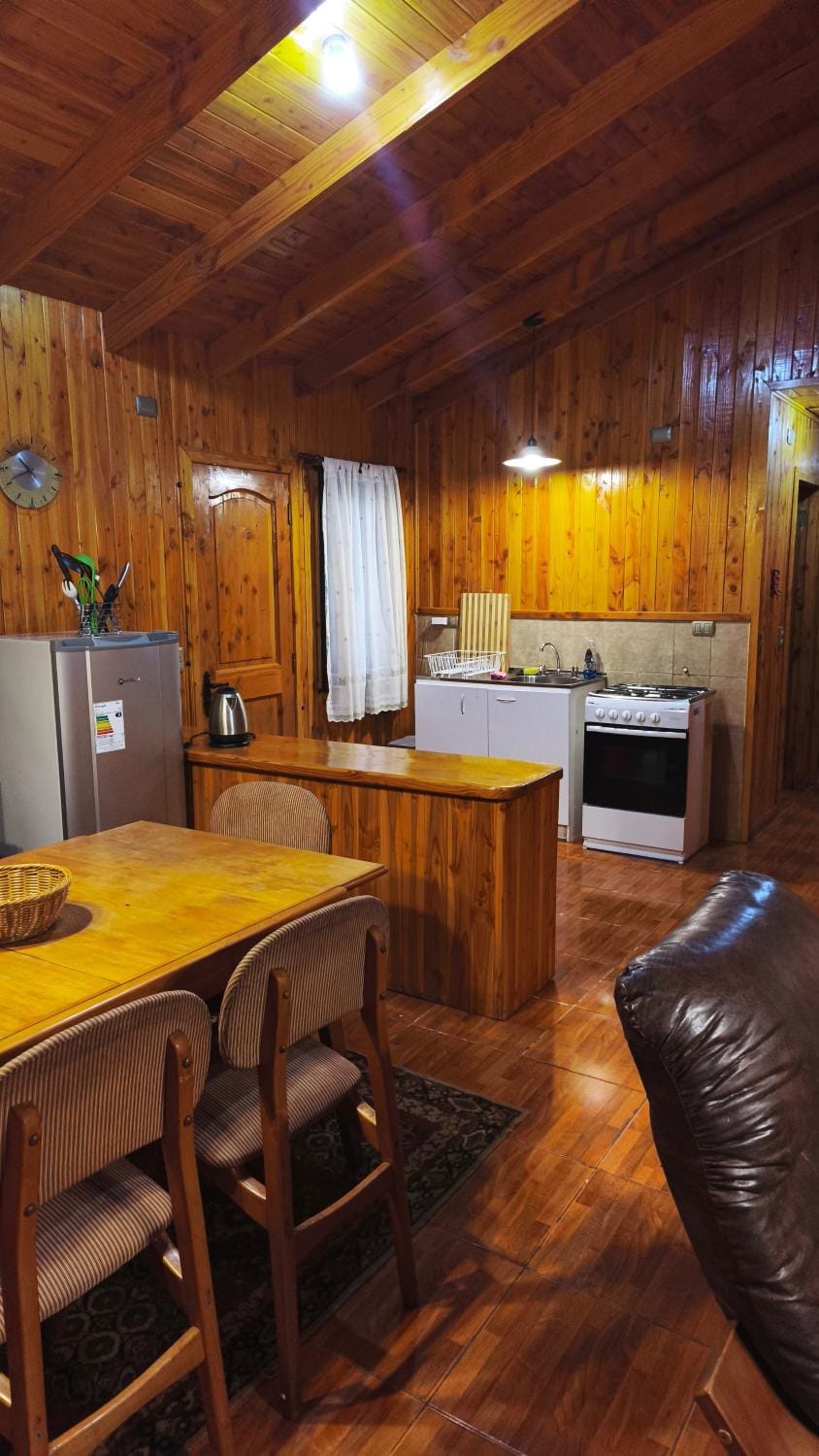 Kitchen or kitchenette, oven
