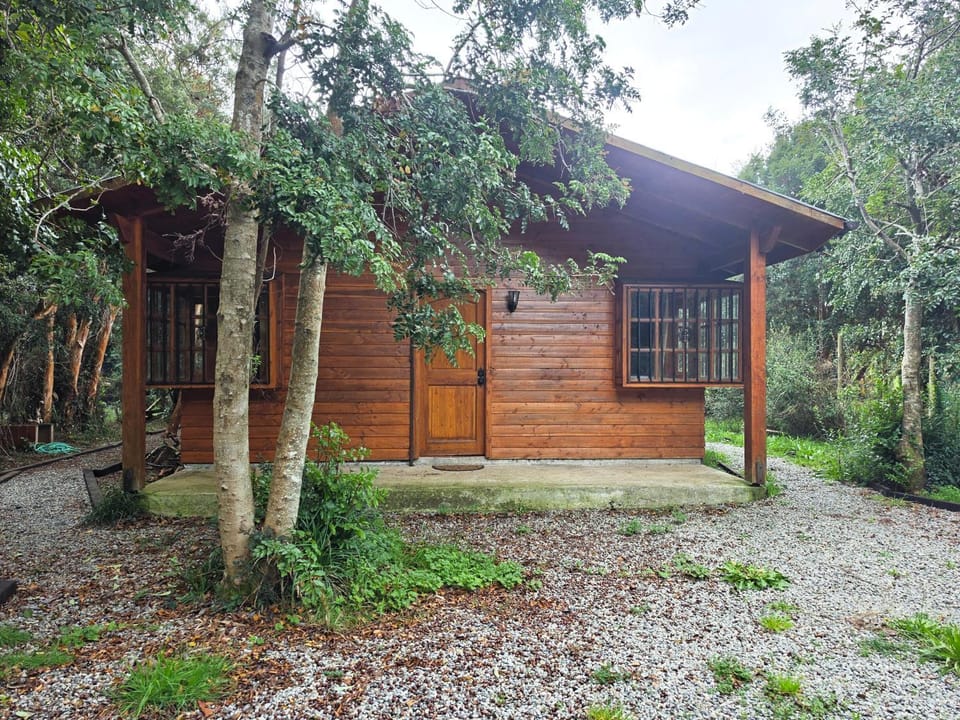 Property building, Natural landscape, Garden, Garden view