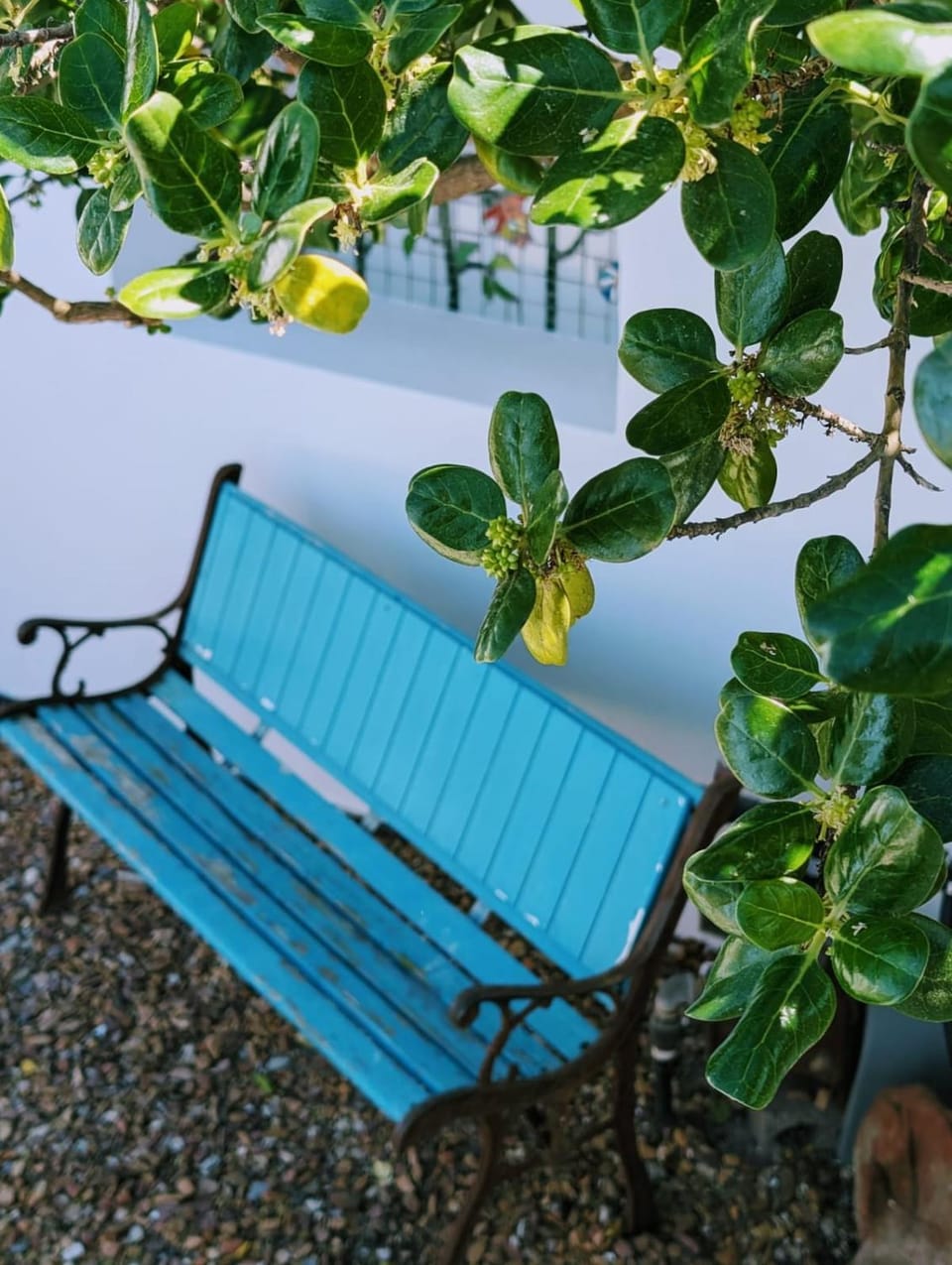 Garden, Garden view