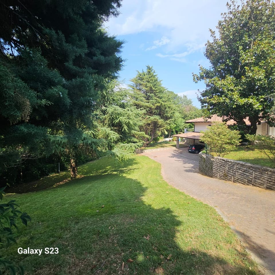 Natural landscape, Garden