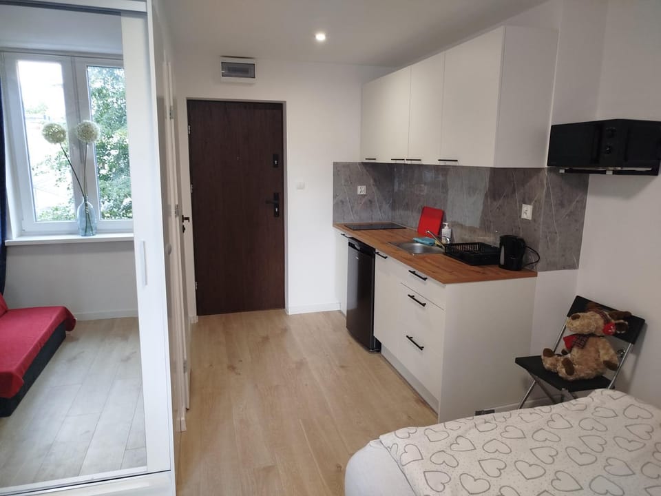 Grudziadz City Center M2-Apartamenty 25m WiFi Apartment in Poland