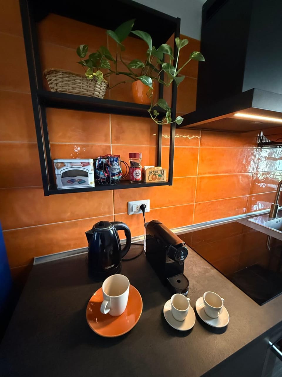 Coffee/tea facilities, Kitchen or kitchenette