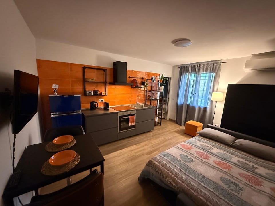 Bed, TV and multimedia, Coffee/tea facilities, Kitchen or kitchenette, Living room, Photo of the whole room, Seating area, Bedroom, stove
