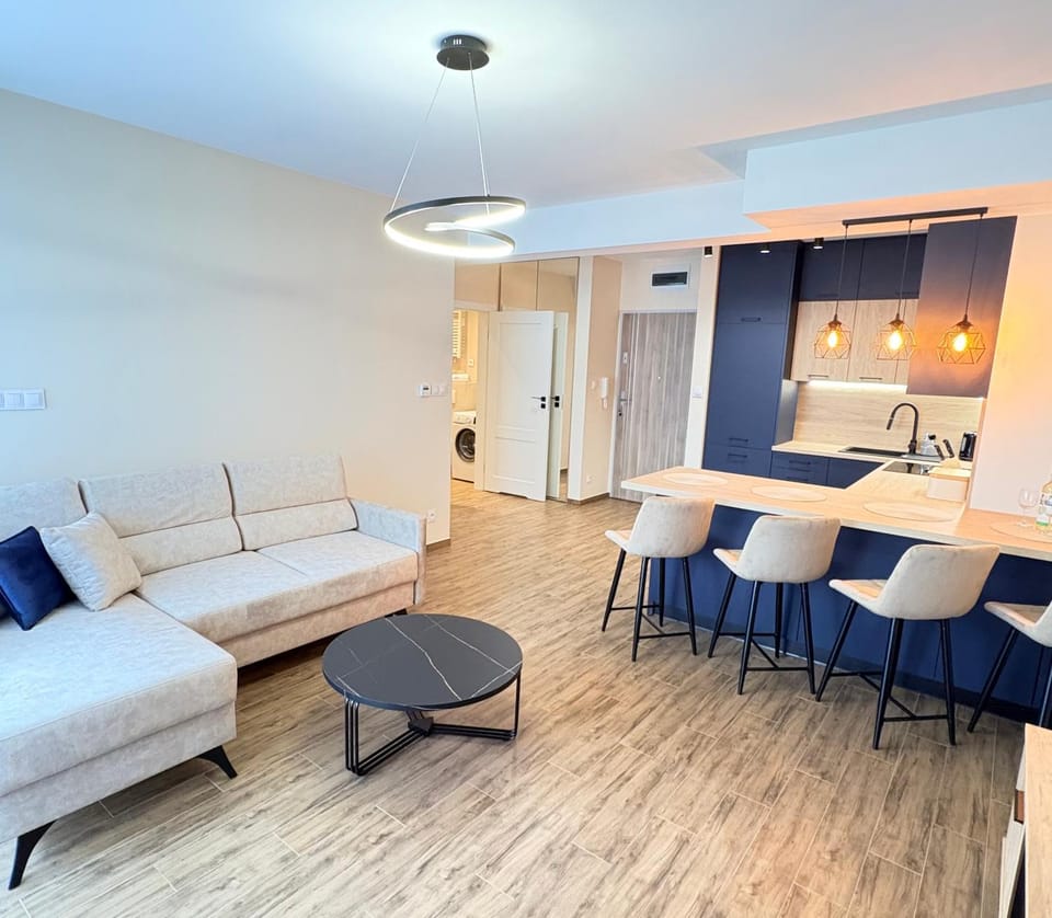 Living room, kitchen