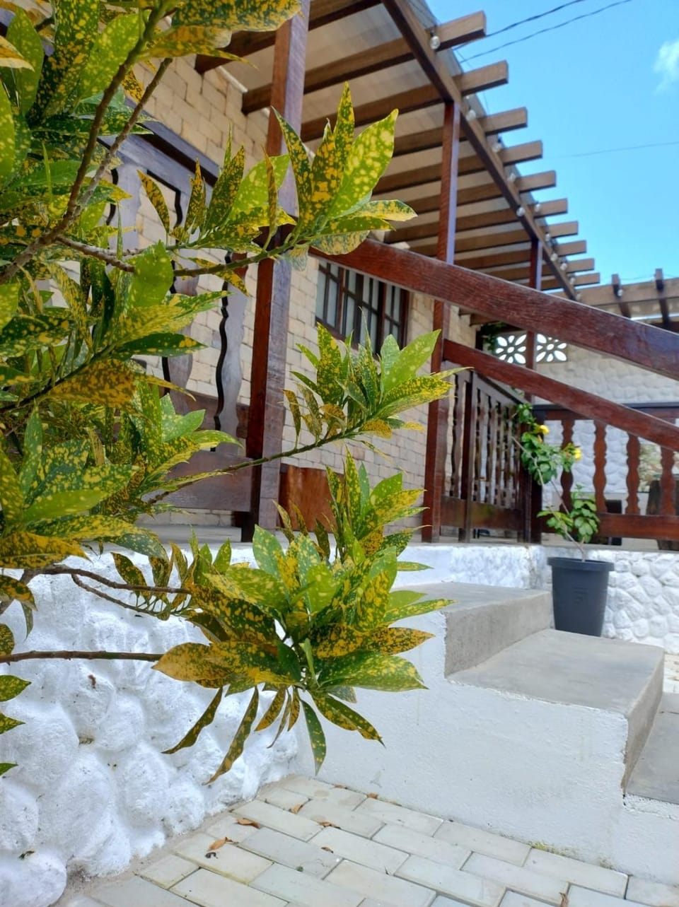 Garden view
