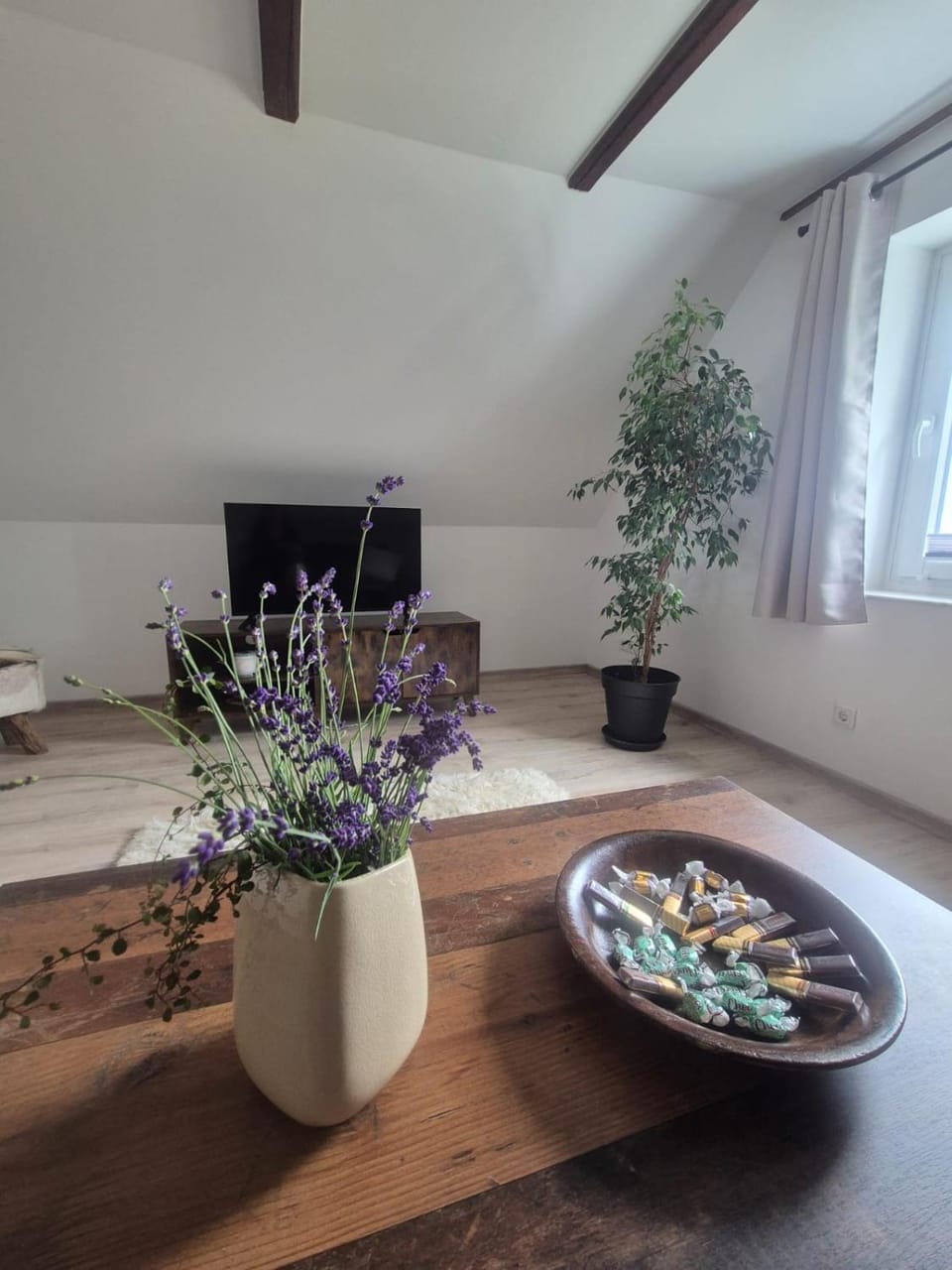 Detmolder Perle 2 Charmante Dachgesschoswohnung im Altbau Apartment in Detmold