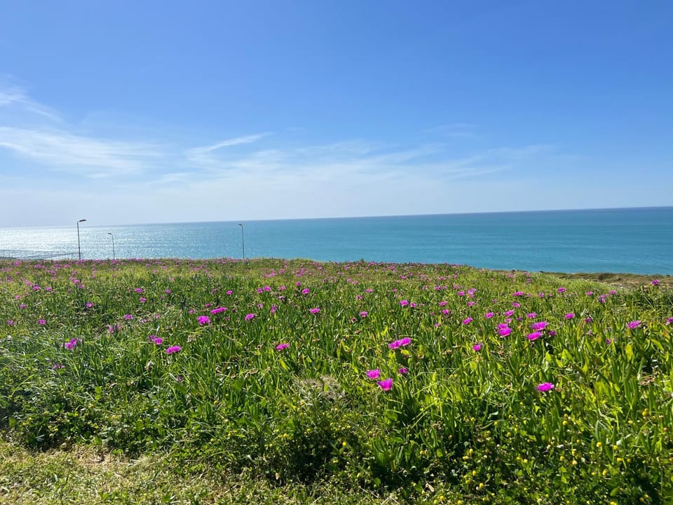 Marina Golf 7 Apartment in Tangier-Tétouan-Al Hoceima