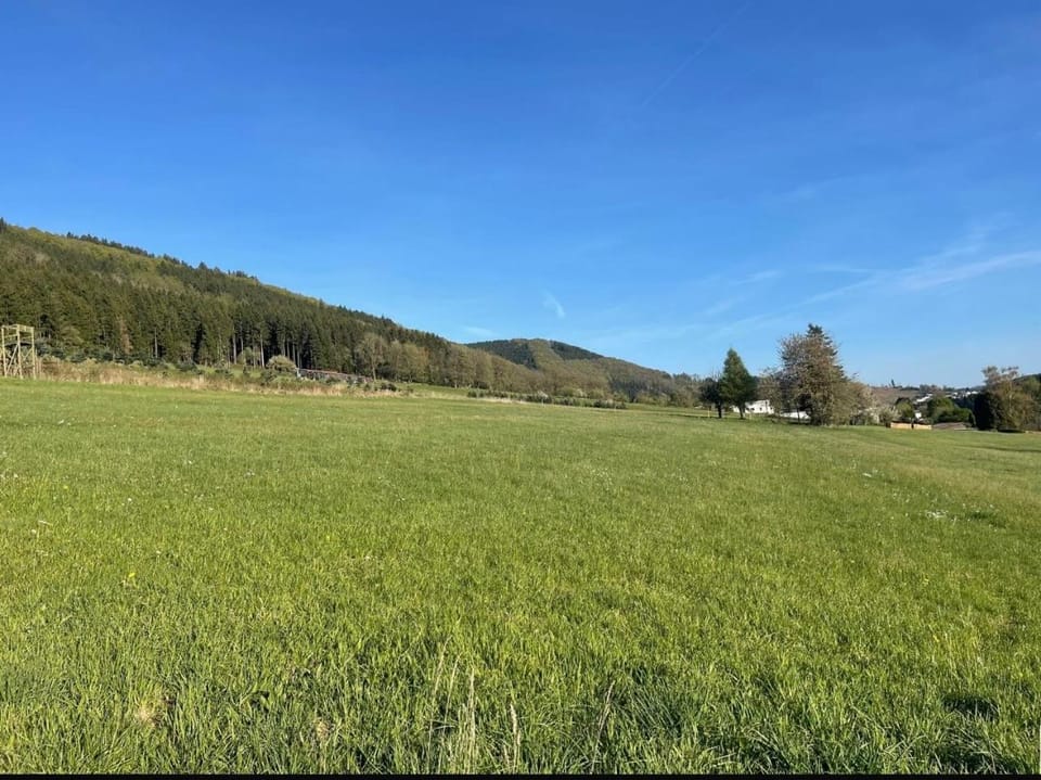 Ferienwohnung am Waldrand Apartment in Hochsauerlandkreis