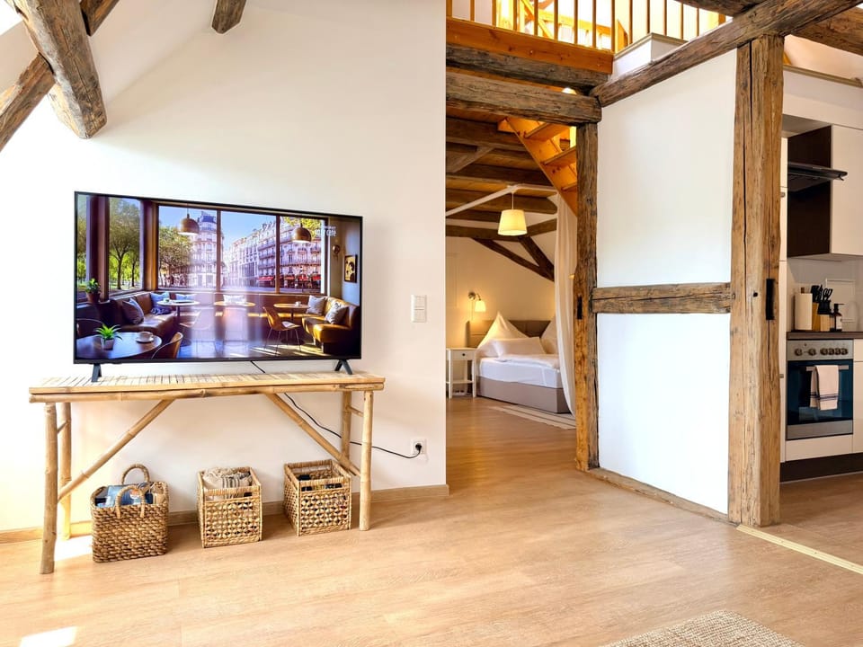TV and multimedia