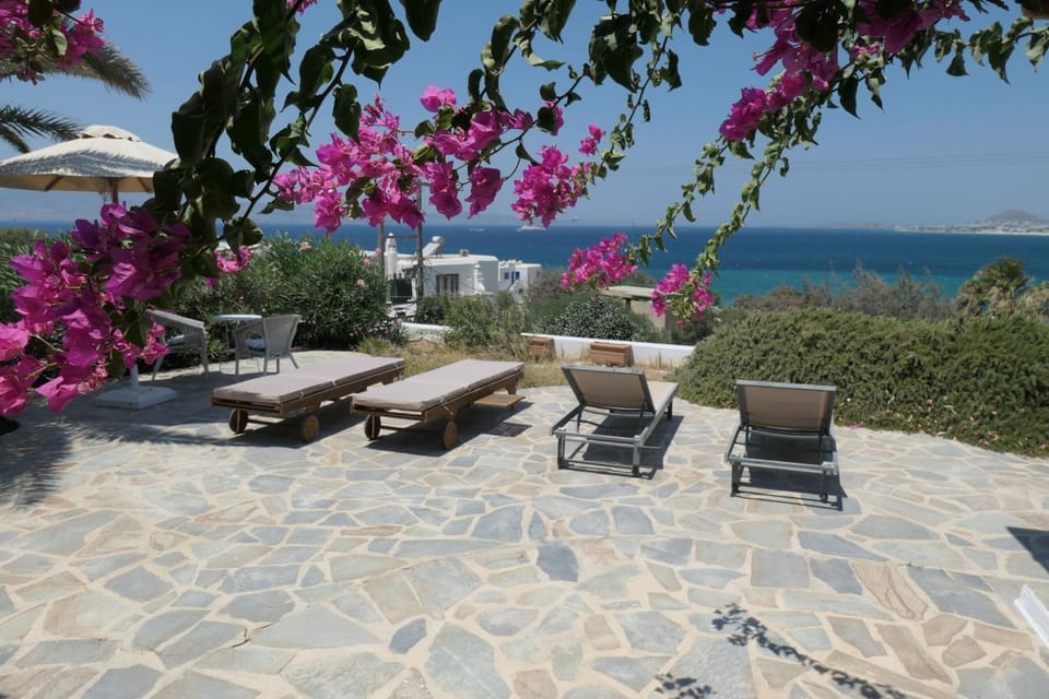 Patio, Summer