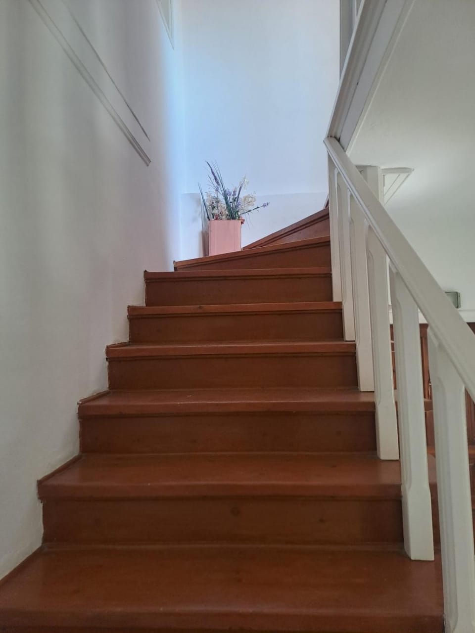 Retire Alefkimmon Apartment in Peloponnese, Western Greece and the Ionian