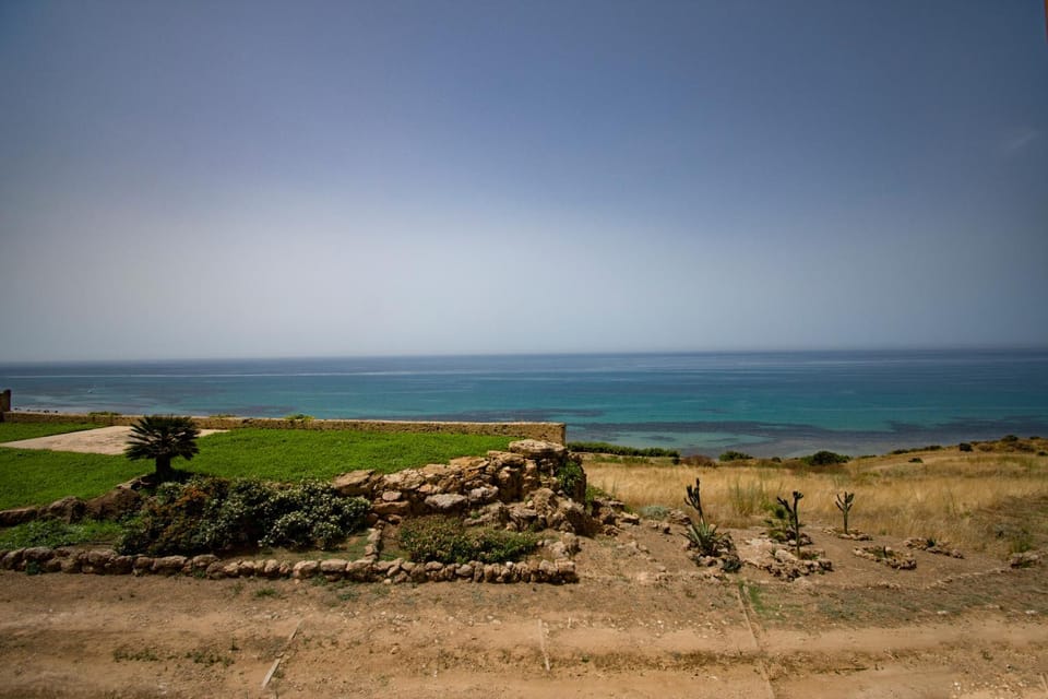 Summer, Garden, Sea view