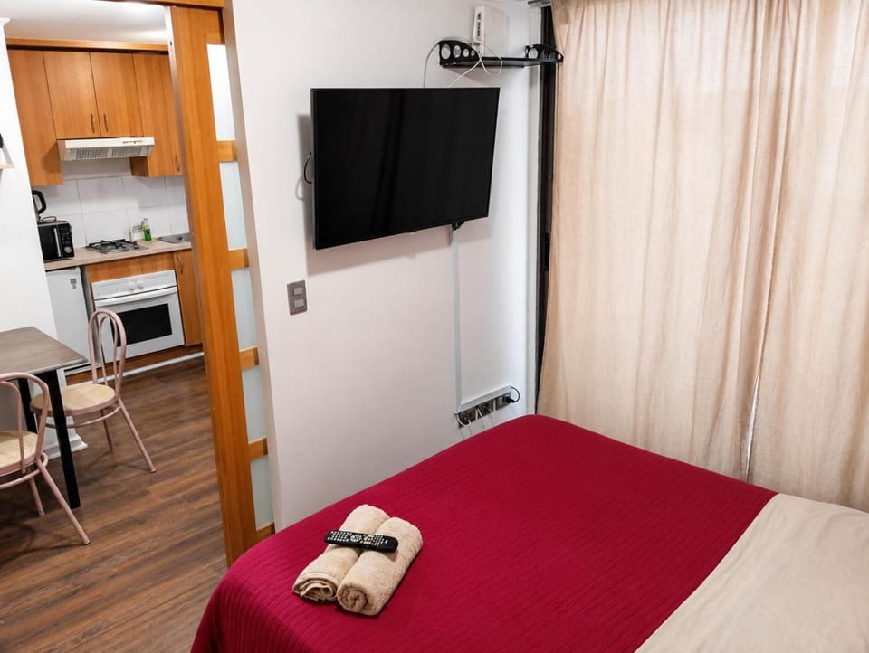 Acogedor Parque Bustamante Apartment in Providencia