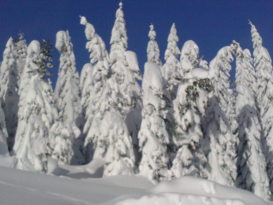 Residence La Pineta Bed and Breakfast in Friuli-Venezia Giulia