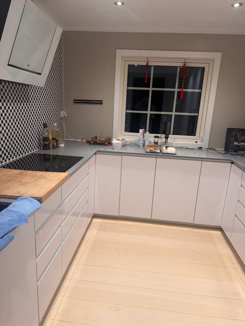 柠檬树 Vacation rental in Viken, Norway