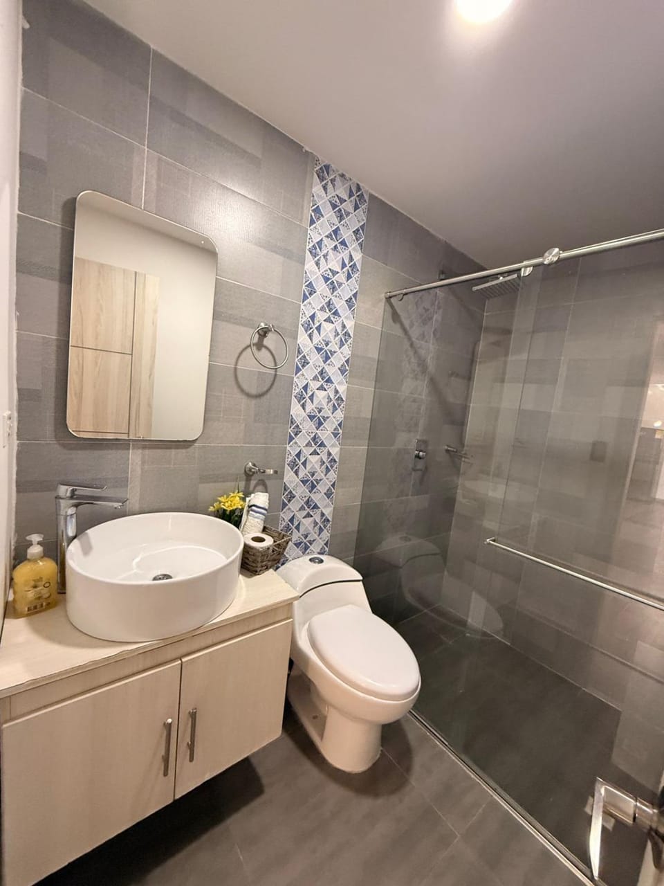 Shower, Toilet, Bathroom, Bath, towels