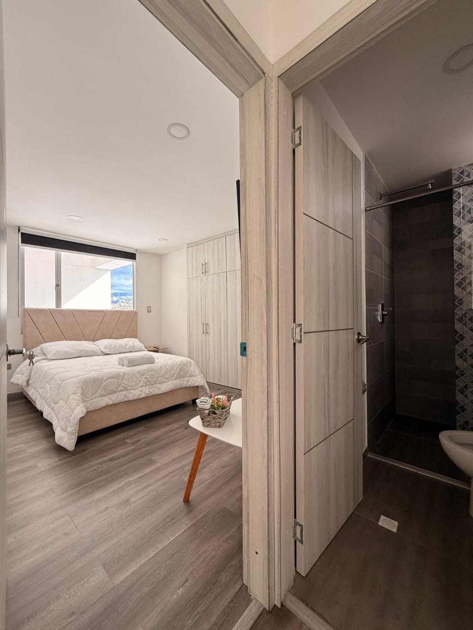 Shower, Bed, Bathroom, Photo of the whole room, Bedroom, towels, wardrobe