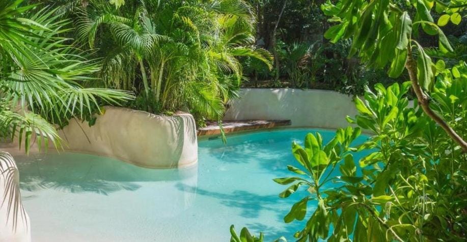 Spring, Day, Natural landscape, Garden, Garden view, Pool view, Swimming pool